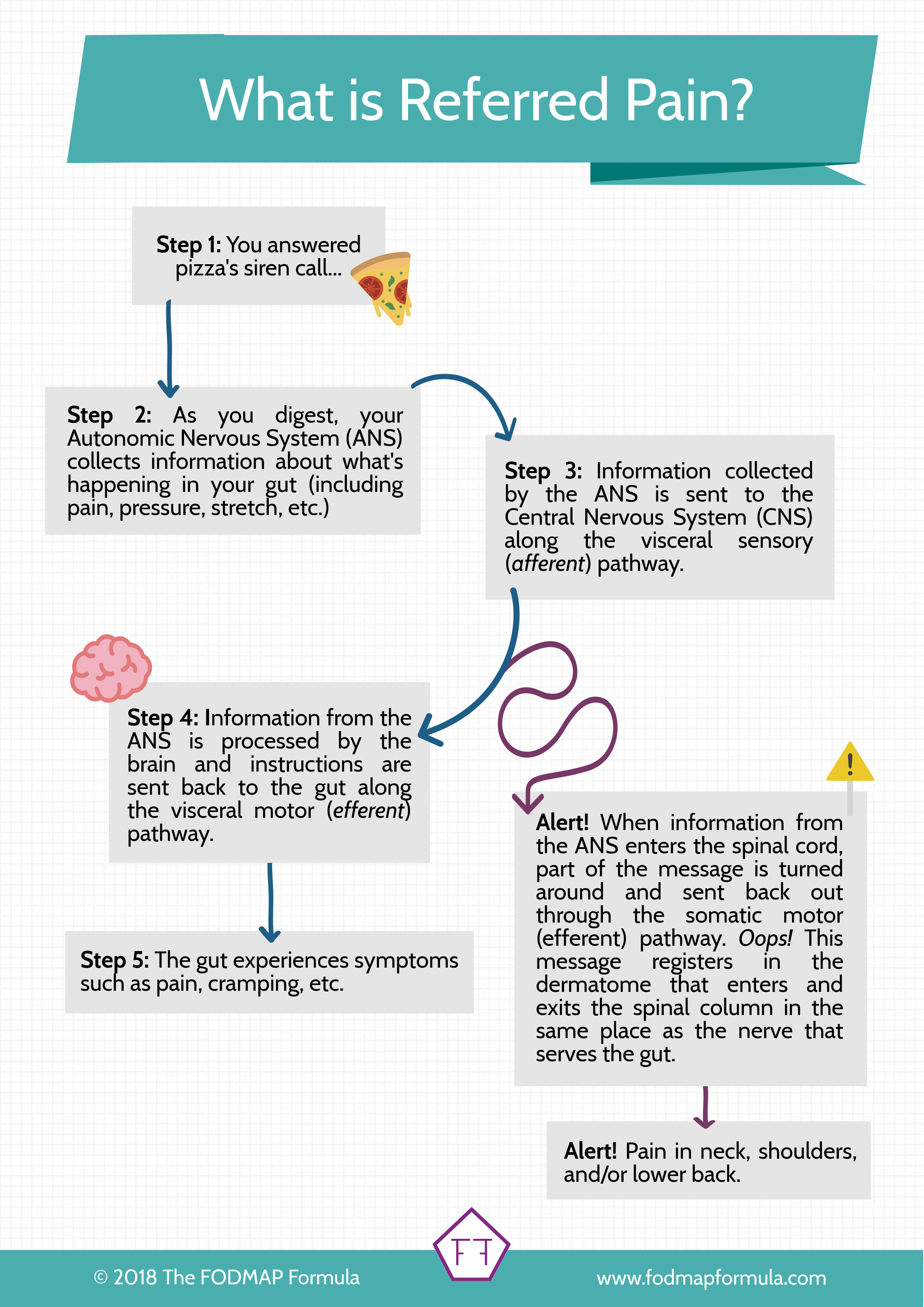  What Is Referred Pain The FODMAP Formula