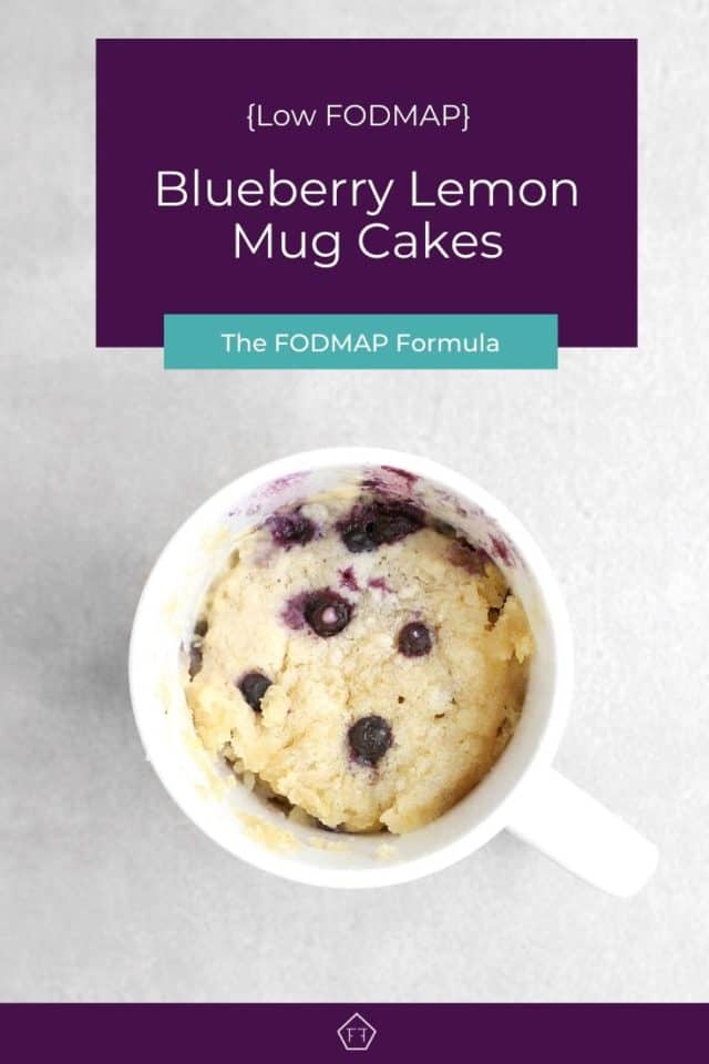 Low FODMAP Blueberry Lemon Mug Cake - The FODMAP Formula