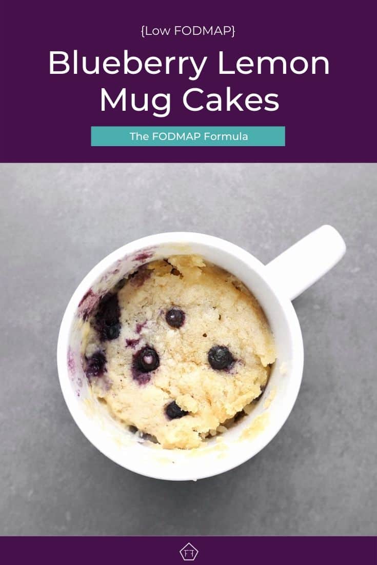 Low FODMAP Blueberry Lemon Mug Cake - The FODMAP Formula